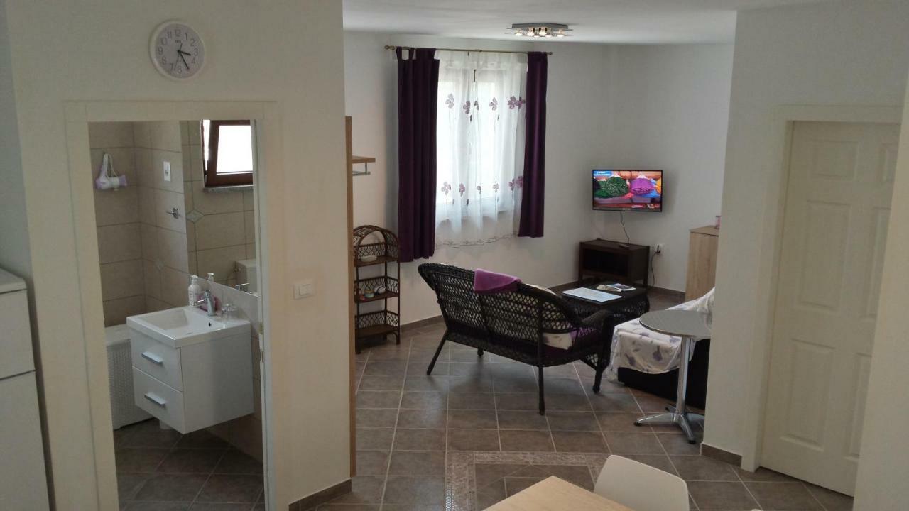 Abba Apartment Sveti Lovrec Pazenaticki ภายนอก รูปภาพ